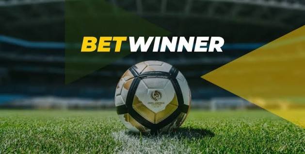 BetWinner Online Casino and Sportsbook Your Ultimate Gaming Destination 1021663020